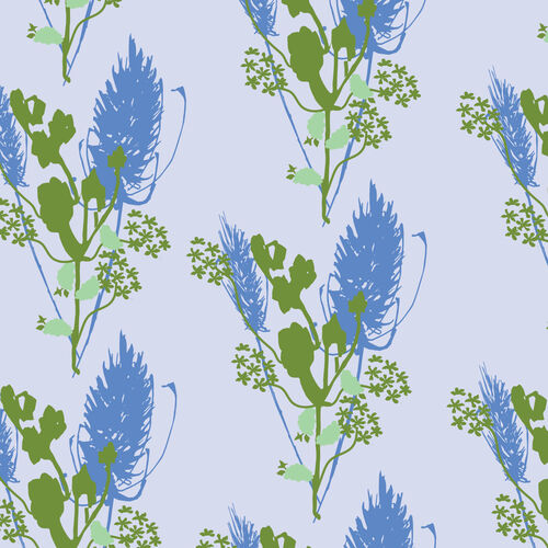Spring fern