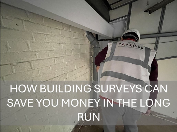 How Building Surveys Can Save You Money in the Long Run 