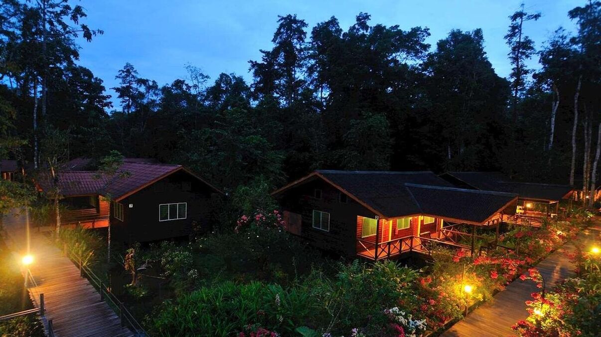 Abai Jungle Lodge
