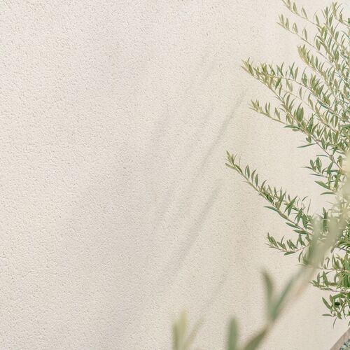 Calle San Miguel, Rojalas