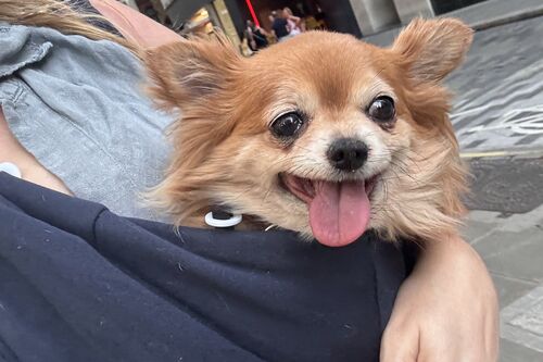 Tallulah