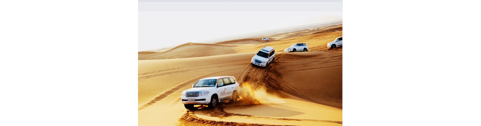 Gallery | Desert Tigers Tourism L.L.C | Dubai Safari 4x4 Tour Packages | Dubai Safari Quad Bike Tours | Dubai City Tours Camel Rides