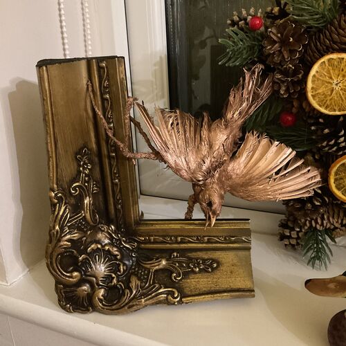 Golden Taxidermy Art Work.