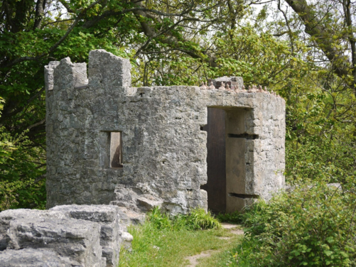 FULL - Isle of Anglesey, Wales 2026 - FULL