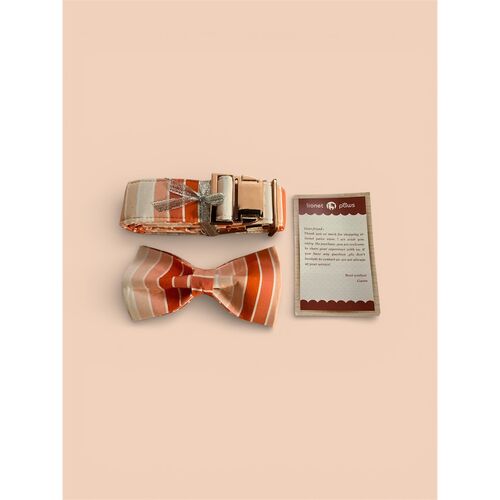 Lionet Paws Cotton Dog Collar with Bow tie - Adjustable