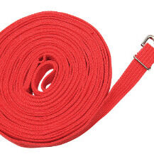 Lunge Line - Acrylic