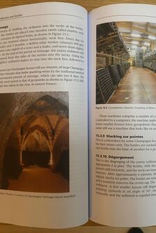 Wine Production & Quality