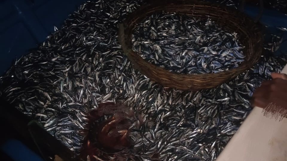 சட்டவிரோத தொழிலாளர்களை கைது செய்யாத கடற்படை