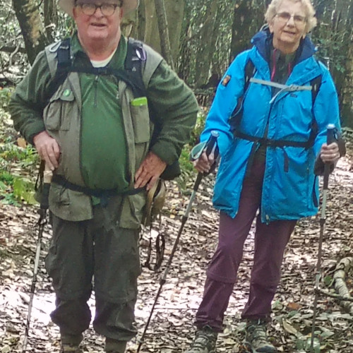 Holmwood to Coldharbour, Thursday 22nd October | Croydon HF Rambling Club | Walking Clubs in Croydon  | Rambling Croydon | HF Rambling, Croydon