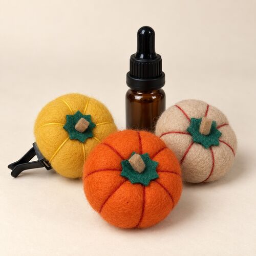 Pumpkin Car Diffuser