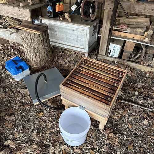 Gallery | East Anglia Apiaries | Raw honey | Local honey | Natural Honey