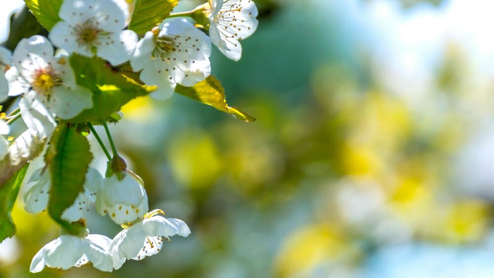 Dont Live To Heal, Heal To Live A Better Life