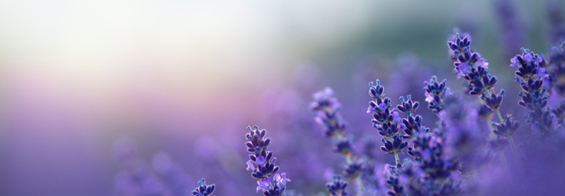 Experienced Counselling Therapist for Adults in South Wales