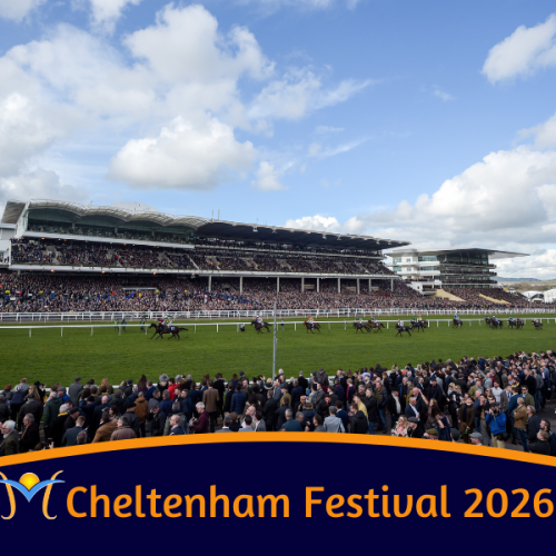 Cheltenham Festival Bookings