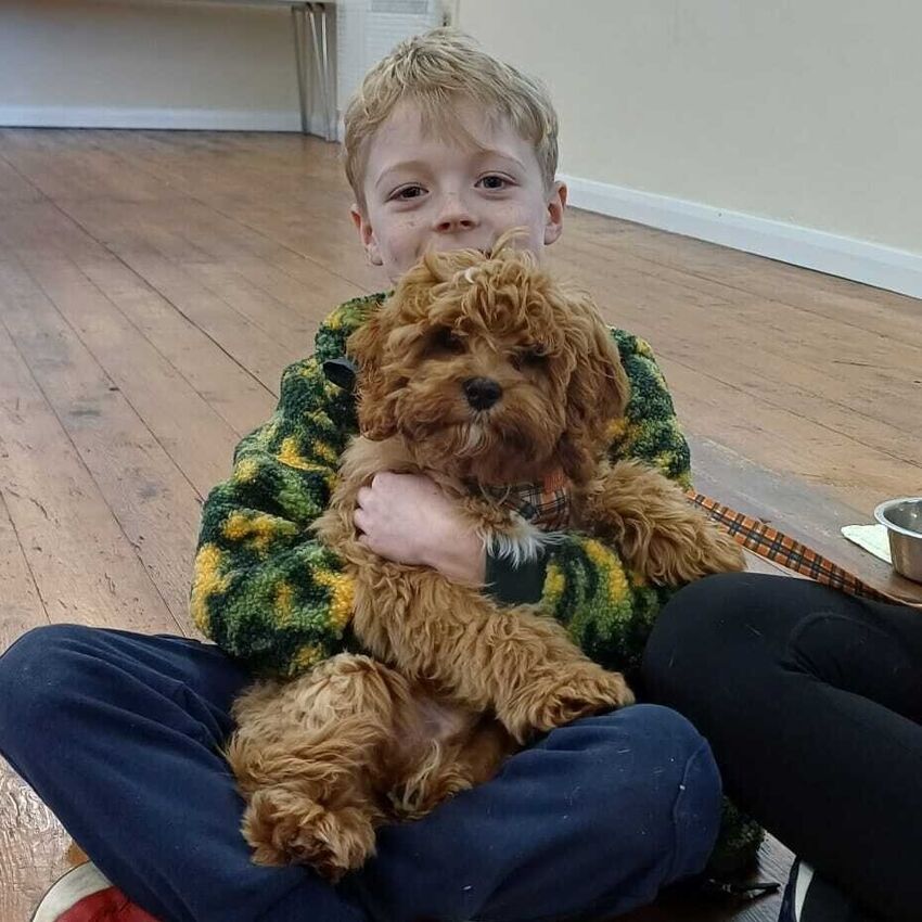 Classes | Help My Dog | Dog trainer Pembrokeshire | Dog behaviourist Pembrokeshire | Help my dog