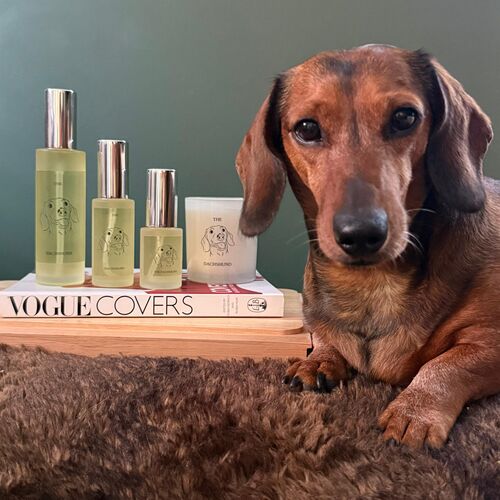The Dachshund Car Spray