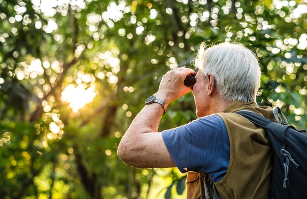 High/Low Voltage Cable Discovered During a RICS Level 3 Building Survey