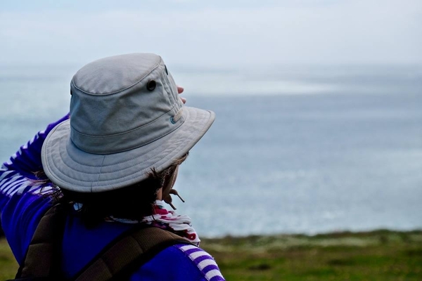 Journeying Poetry Competition 2024