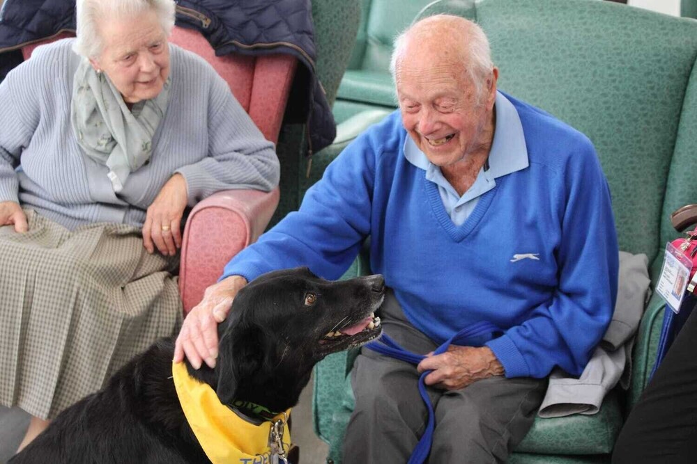 PAT Dog visit