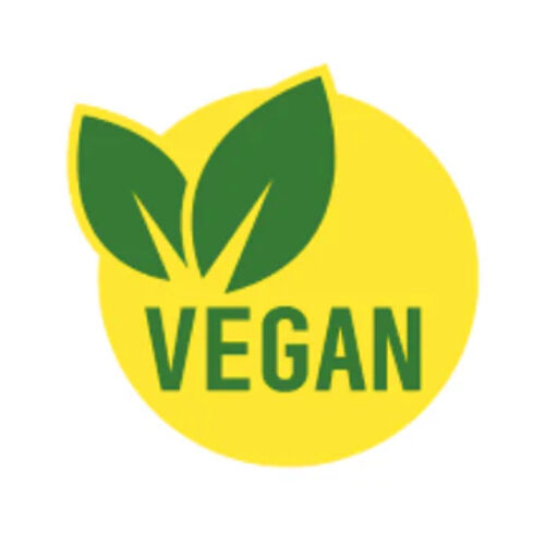 Max's Mints Organic Ginger Case of 12 x 17g