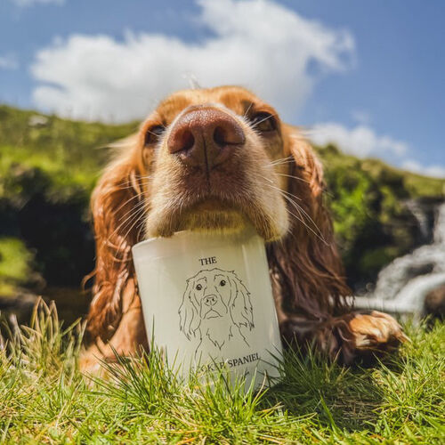 The Cocker Spaniel Candle