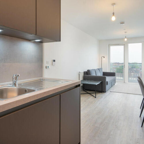 Shipbuilding Way, London, Greater London, E13, London