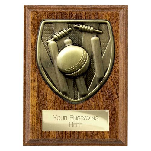 Cricket 