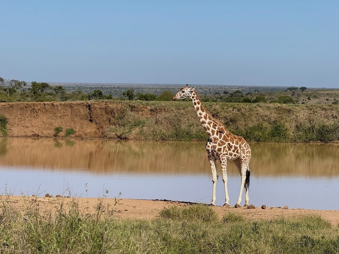 The Magic of El Karama Lodge