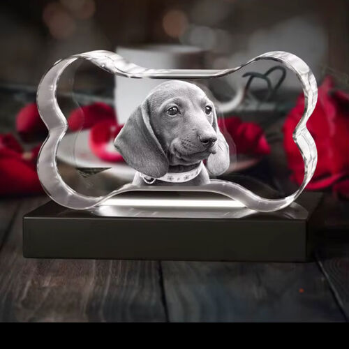 Our New Amazing Xtra Large 3D Pure Crystal Dog Bone