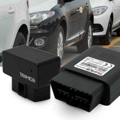 TRAMIGO OBD 4G Standard Tracker