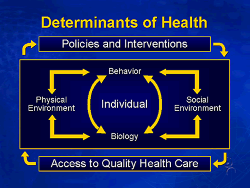 Go’aamiyayaalka Caafimaadka 