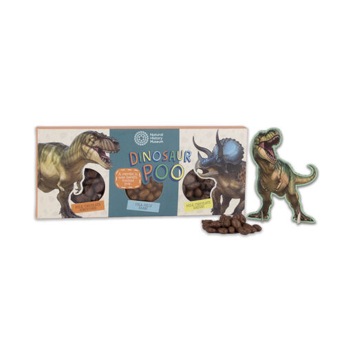 Dinosaur Poo By The Natural History Museum (NHM) 300g