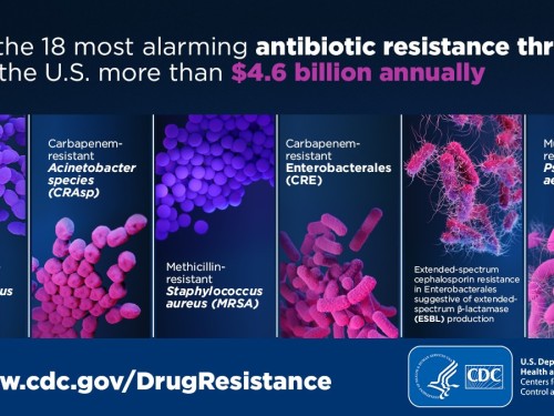 Cabsida adduunka iyo halista kakanaanta bakteeriyada 