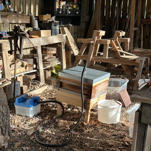 Gallery | East Anglia Apiaries | Raw honey | Local honey | Natural Honey