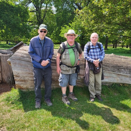 Richmond to Norbiton, taking in the Isabella Plantation