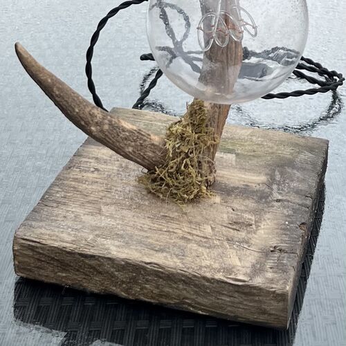 Red Deer Antler Lamp.