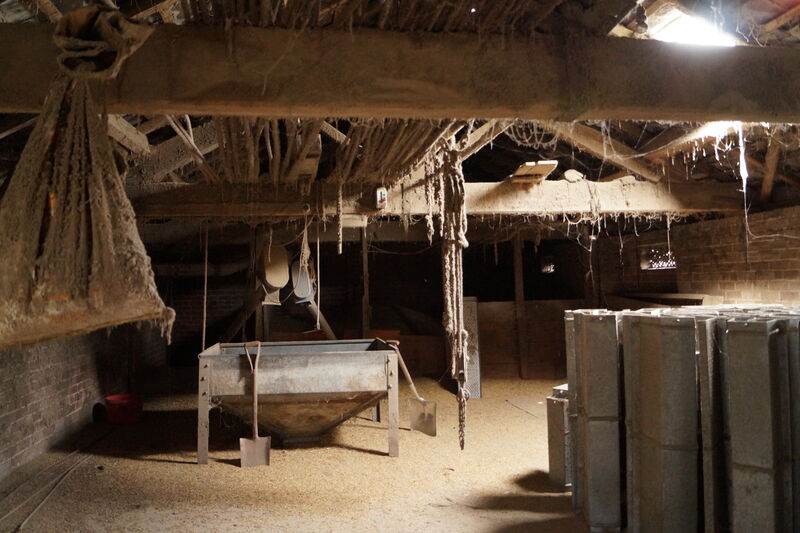 Farm buildings in Studley