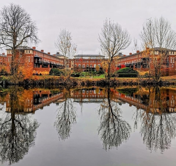 *IN THE LOOP NOVEMBER 2025 - FEBRUARY 2026*