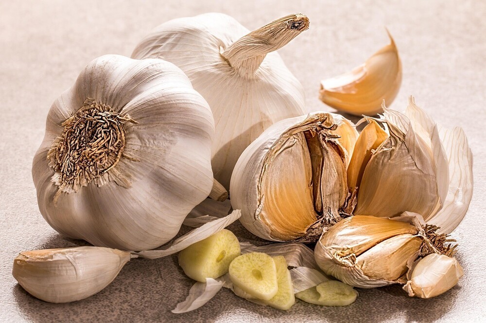 Garlic - Impact on health and digestion