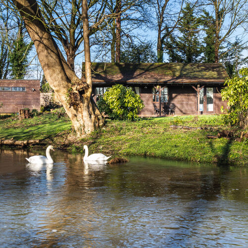 Little Tolpitts Lane, Watford WD18 9QG