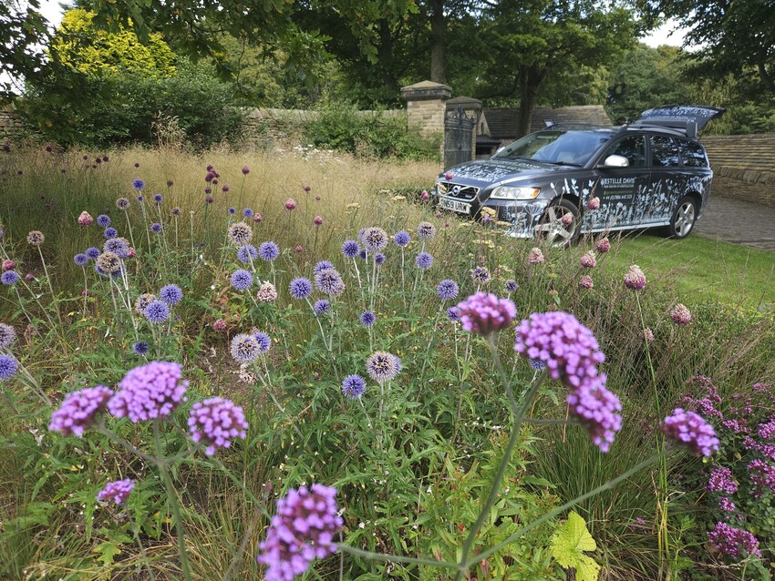 RHS Master of Horticulture