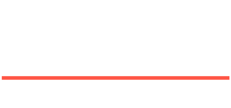 Damp, Mould & Woodworm Specialists Ltd 
