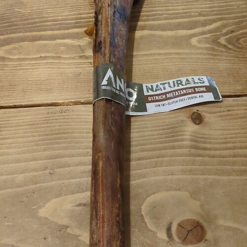 Ostrich Metatarsus Bone