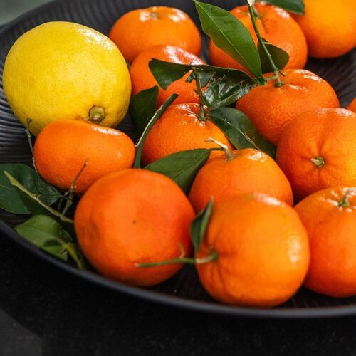 Calle San Miguel, Rojalas