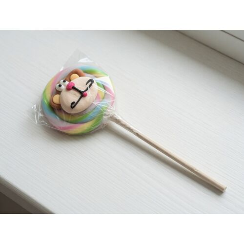 Jungle Animals Lolly ‘Naturlolly’ 60g