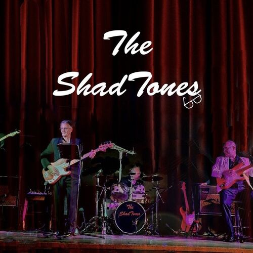 THE SHADOWS (Tribute by The ShadTones)