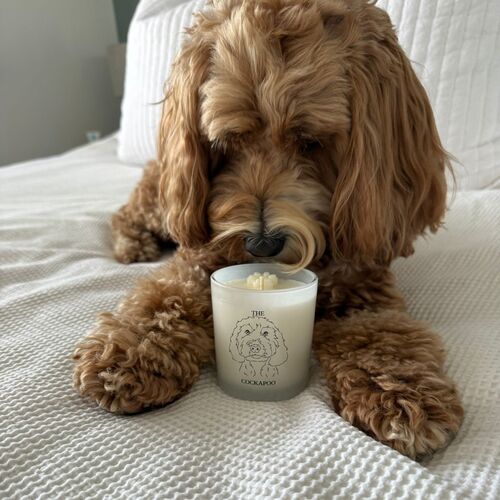The Cockapoo Candle