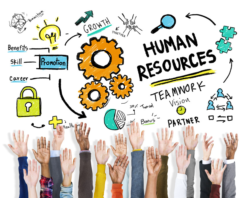 HR & Legal Support for Micro Businesses in the UK