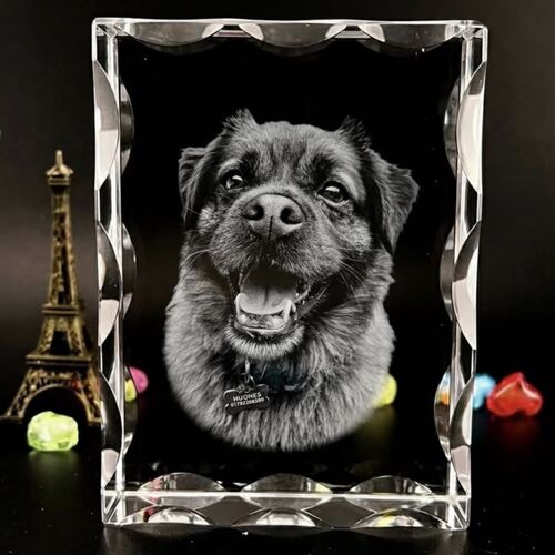 Pet 3D Crystal Gifts | 3d Crystal Shop | 3d crystal glass engraving | Personalised 3d engraving  | 3d crystal photo