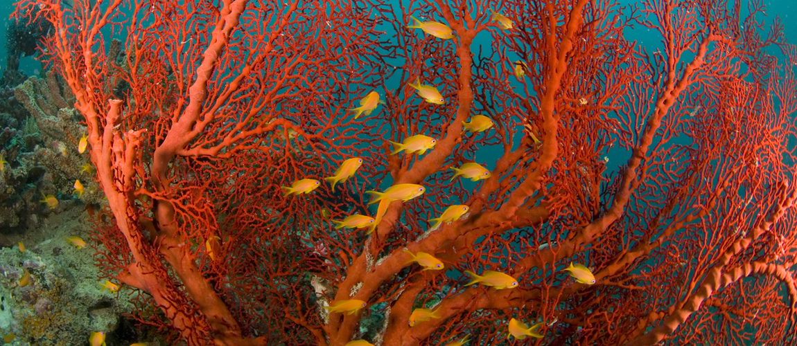 Luxury Bespoke Travel Services